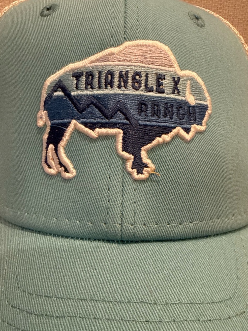 Triangle X Ranch Light Blue Embroidered Buffalo Trucker Hat